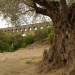 Pont du Gard akvedukas